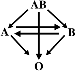 図2.血液型不適合移植